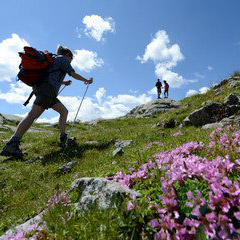 Weekend estate val di Fiemme
